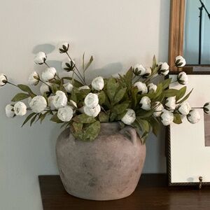 16 cream ashland peonies